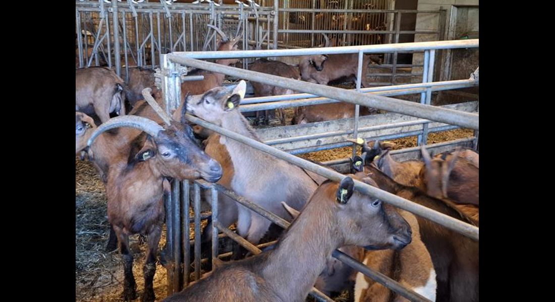 k640-20250519-141443