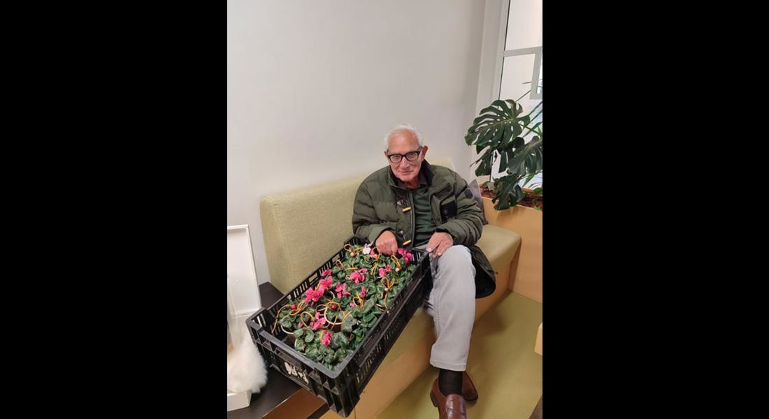 Ein Mann mit einer Kiste voller Pflanzen