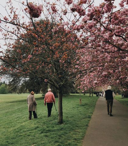 Mehrere ältere Personen bei einem Spaziergang in einem Park